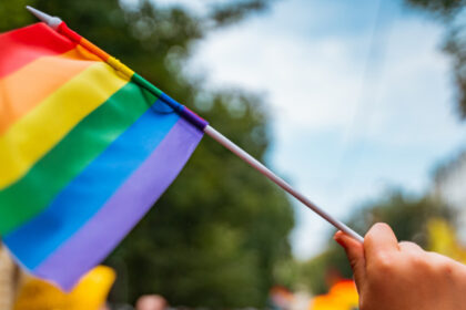 Seime pirmadienį pristatytas Civilinės sąjungos įstatymo projektas. Valdančiųjų teigimu, šis įstatymo projektas yra kompromisinis variantas, parengtas įsiklausius į nuotaikas visuomenėje.