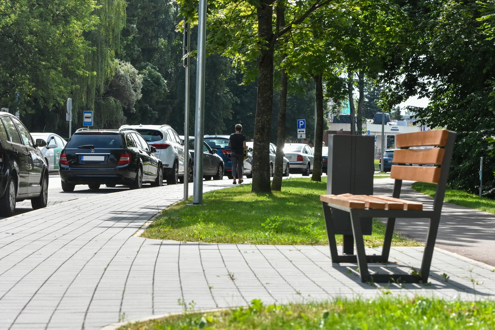 Panevėžyje daugiausia šliužų pastebima A. Jakšto gatvėje. Savivaldybės atstovai piktinasi iš Aplinkos ministerijos sulaukę tik tuščių raginimų. G. KARTANO nuotr. 