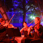 Vilniaus sapnas misterija