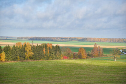 Parengtas dokumentas Panevėžio rajone statyti 101 elektrinę, o daugiausia jų iškiltų Krekenavos apylinkėse. P. ŽIDONIO nuotr.