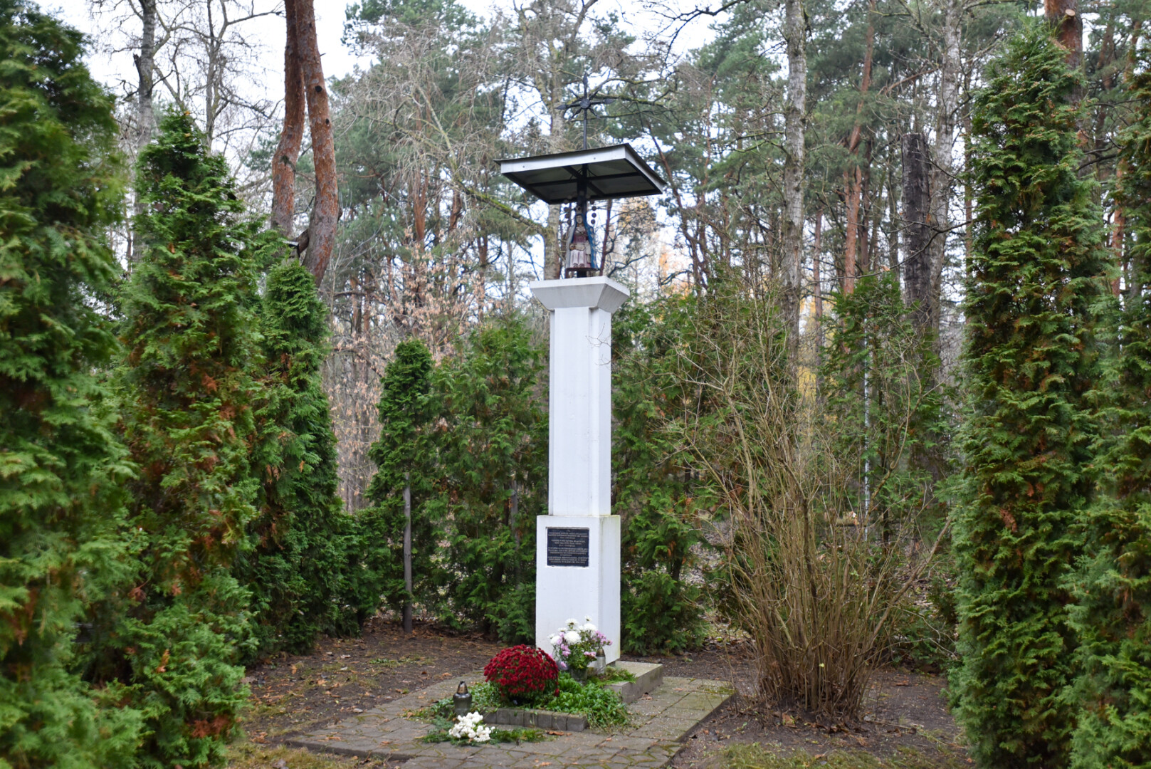 Ne iki galo išsiaiškinta ir A. Baranausko gatvės pušynėlio, kuriame palaidotos NKVD aukos, paslaptis. P. ŽIDONIO nuotr.