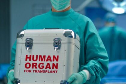Nacionalinio transplantacijos biuro prie Sveikatos apsaugos ministerijos (NTB) duomenimis, praėjusiais metais buvo registruota 117 potencialių donorų, iš jų efektyviais tapo 46 donorai, o 31 donoras buvo multiorganinis.