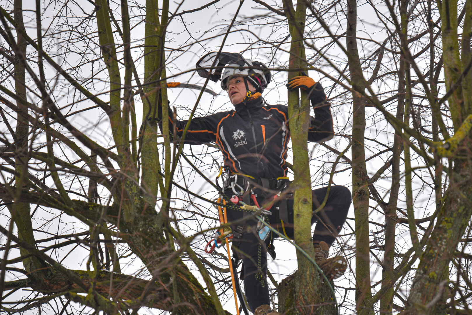 Silvija Pranauskė P. Židonio nuotr.