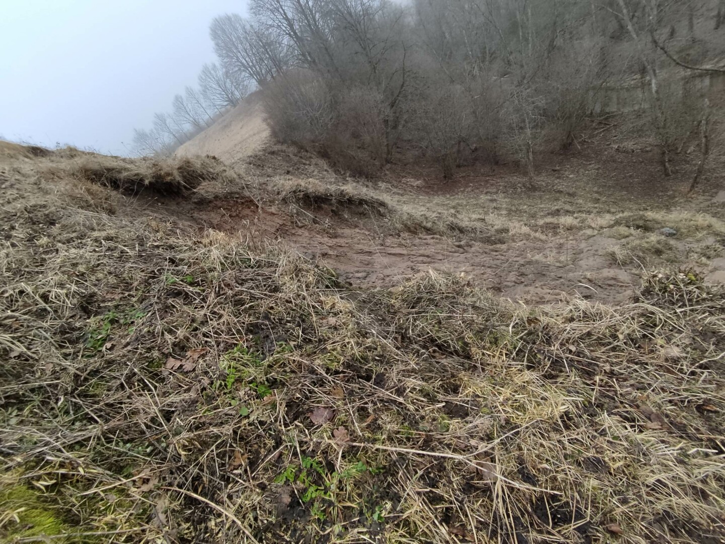 Bakainių piliakalnis slenka į Liaudės upelį. A. KAVALIAUSKIENĖS nuotr.
