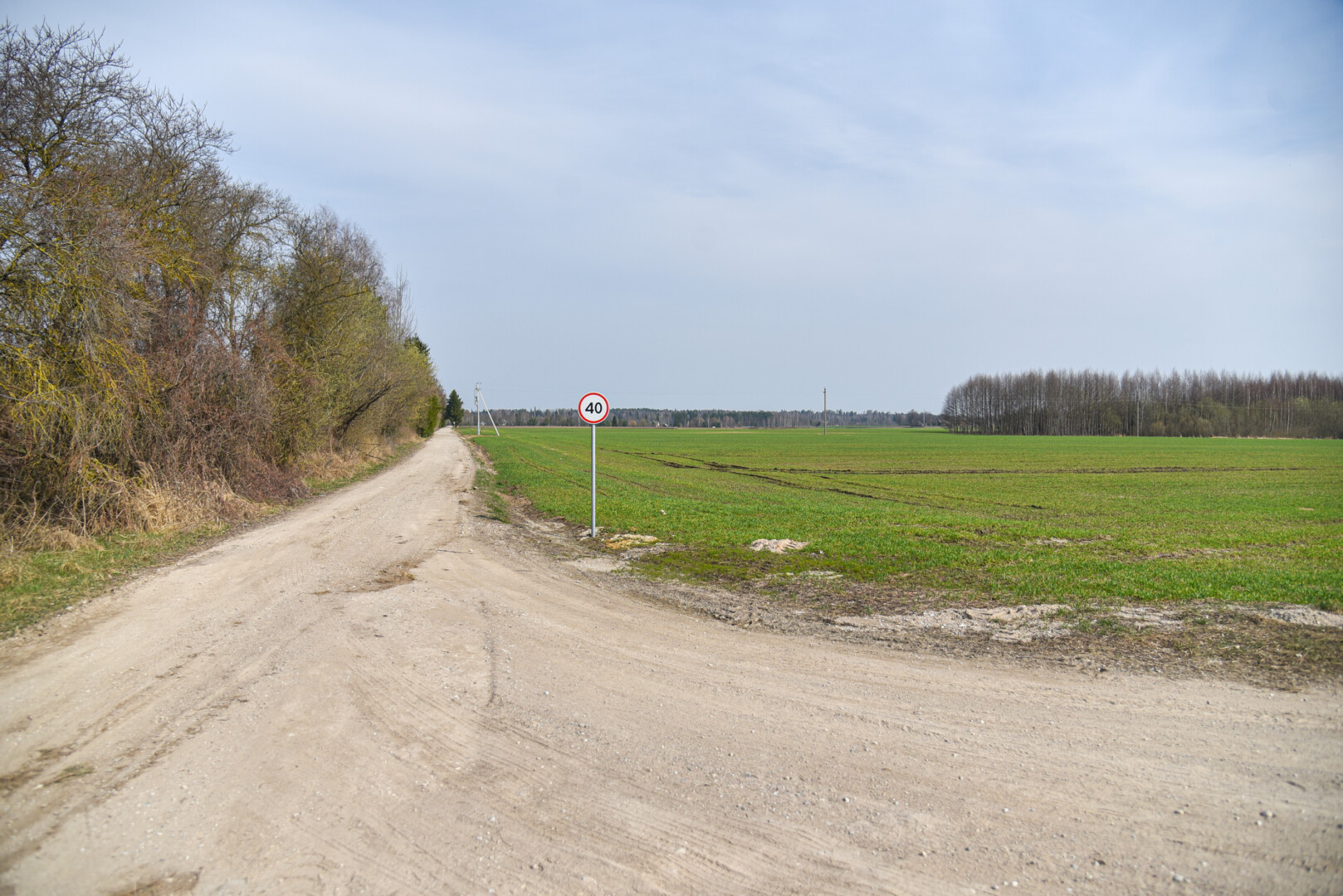 Sodų gyventojai apstulbę – jų sklypai nuo karjero bus nutolę vos 30 metrų. P. ŽIDONIO nuotr.