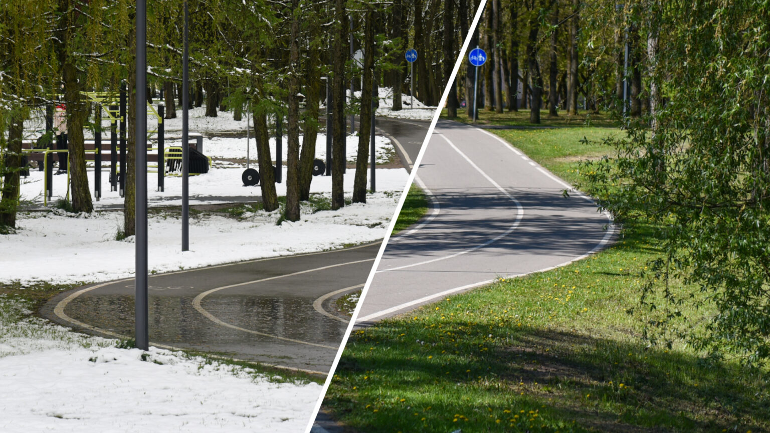 Pavasario pokštai juoko nebekelia. Prieš trejus metus tuo pačiu metu panevėžiečiai braidė po sniegą, o šįmet meldžia kritulių.