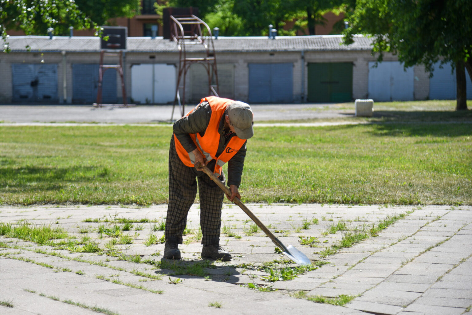 Neberandantys, kas nuo piktžolių išvaduotų viešąsias Panevėžio rajono vietas, seniūnijų vadovai kovai su jomis telkiasi nuodus.