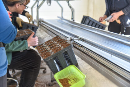 Pavasarį ir vasarą paprastai būna pats sezoninių darbų įkarštis. Tokių darbuotojų ieškantieji pabrėžia: kasmet ši užduotis darosi sudėtingesnė.