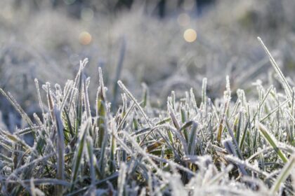 Naktį iš šeštadienio į sekmadienį Lietuvoje užfiksuotos stichinės šalnos, praneša Lietuvos hidrometeorologijos tarnyba.