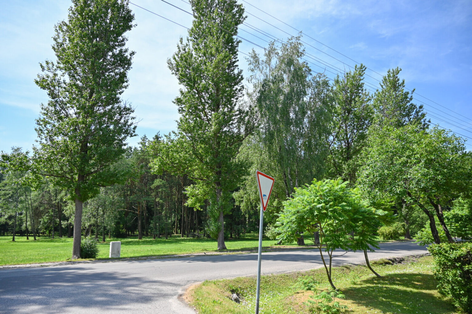 Po ilgo kliūčių maratono – vietos bendruomenės pasipriešinimo, daug laiko atėmusių archeologinių žvalgytuvių ir strigusių viešųjų pirkimų procedūrų – Panevėžyje startuos „Harmonijos miesto“ statybos.