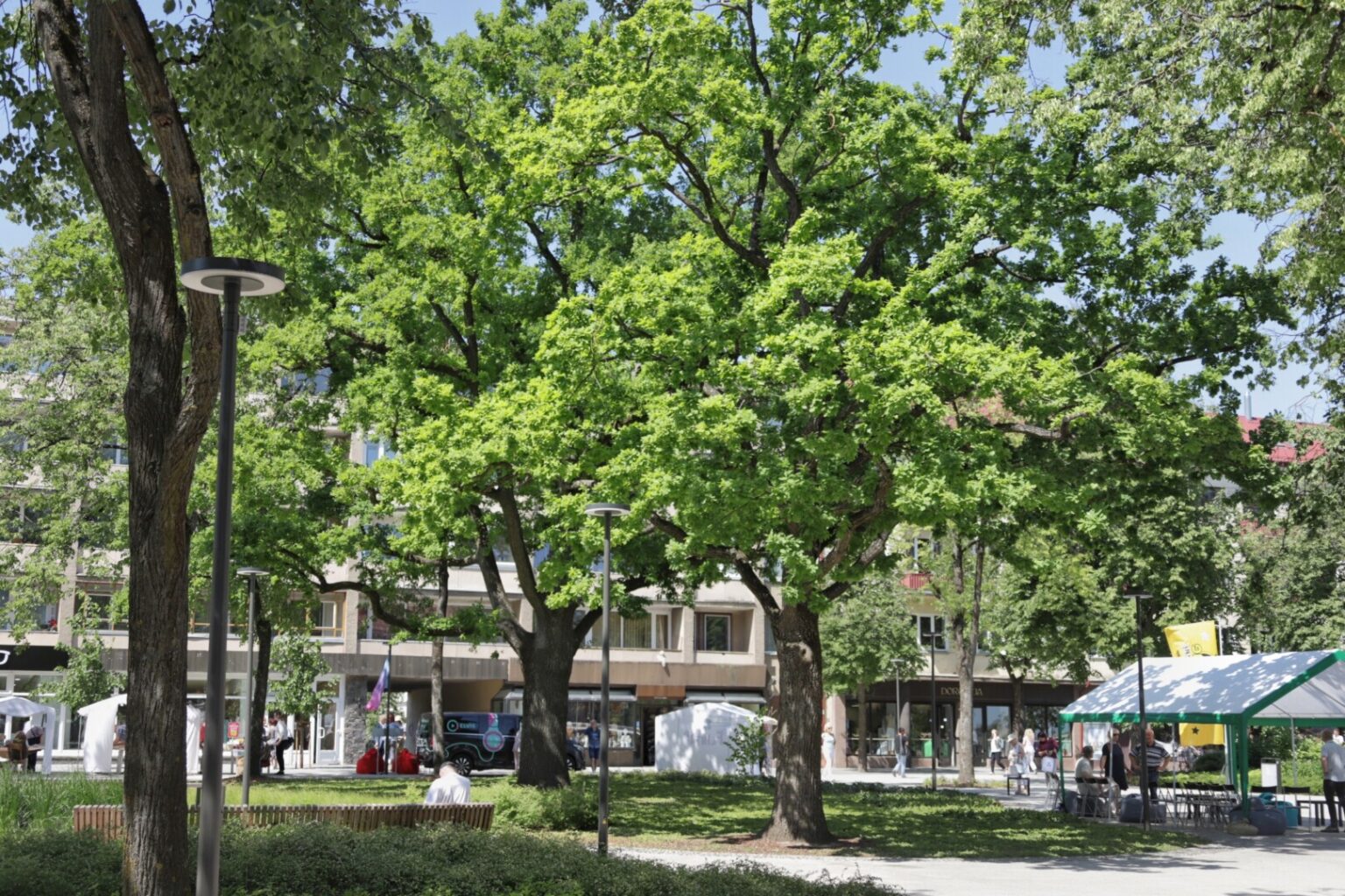 Panevėžys, nuo seno vadintas žaliuoju miestu, šio titulo neprarado iki šiol.