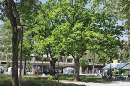 Panevėžys, nuo seno vadintas žaliuoju miestu, šio titulo neprarado iki šiol.