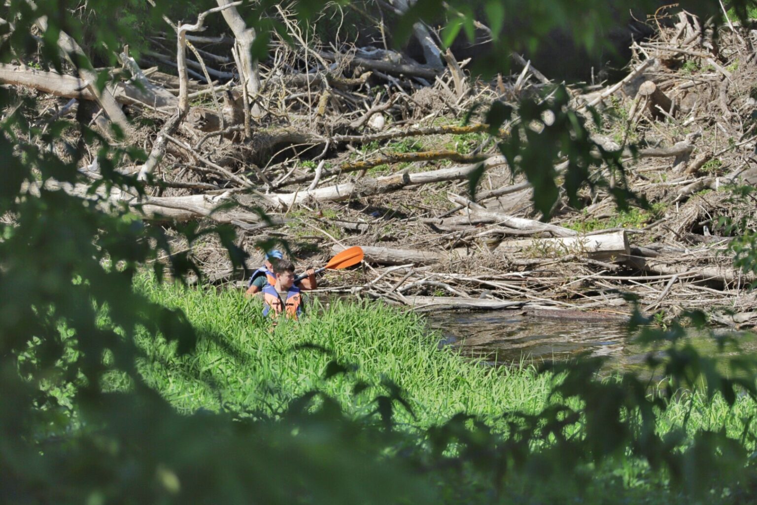 Poetų apdainuotas Nevėžis šiuo metu atrodo visai nepoetiškai, o kai kurios jo vietos jautresniems baidarininkams gali sukelti netgi pasišlykštėjimą.
