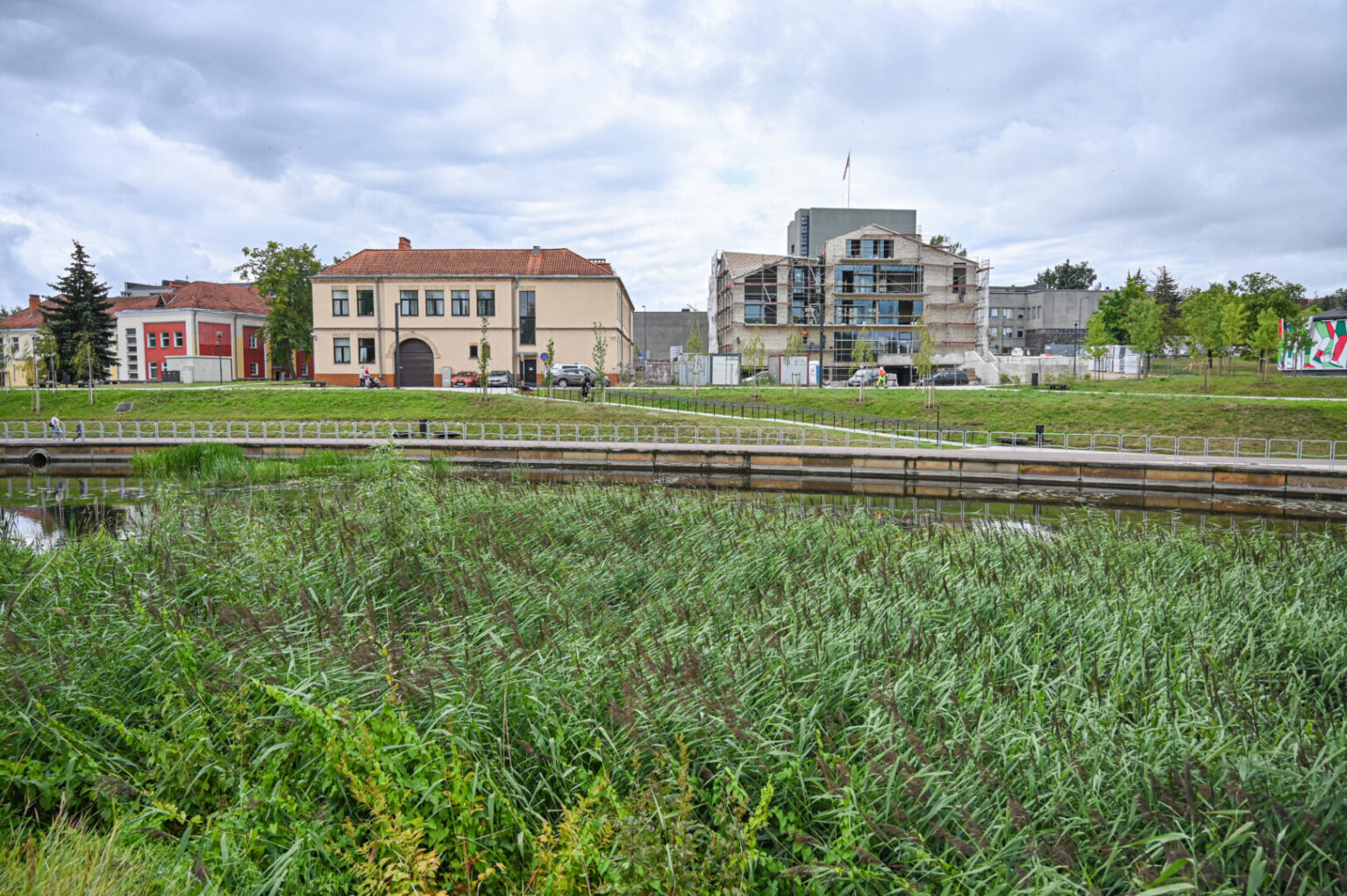 Nusekusį, gerokai prižėlusį, o vakar dar ir naftos produktų vaivorykštėmis nuspalvintą Nevėžį planuota pradėti šienauti šią savaitę.