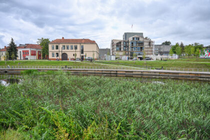 Nusekusį, gerokai prižėlusį, o vakar dar ir naftos produktų vaivorykštėmis nuspalvintą Nevėžį planuota pradėti šienauti šią savaitę.