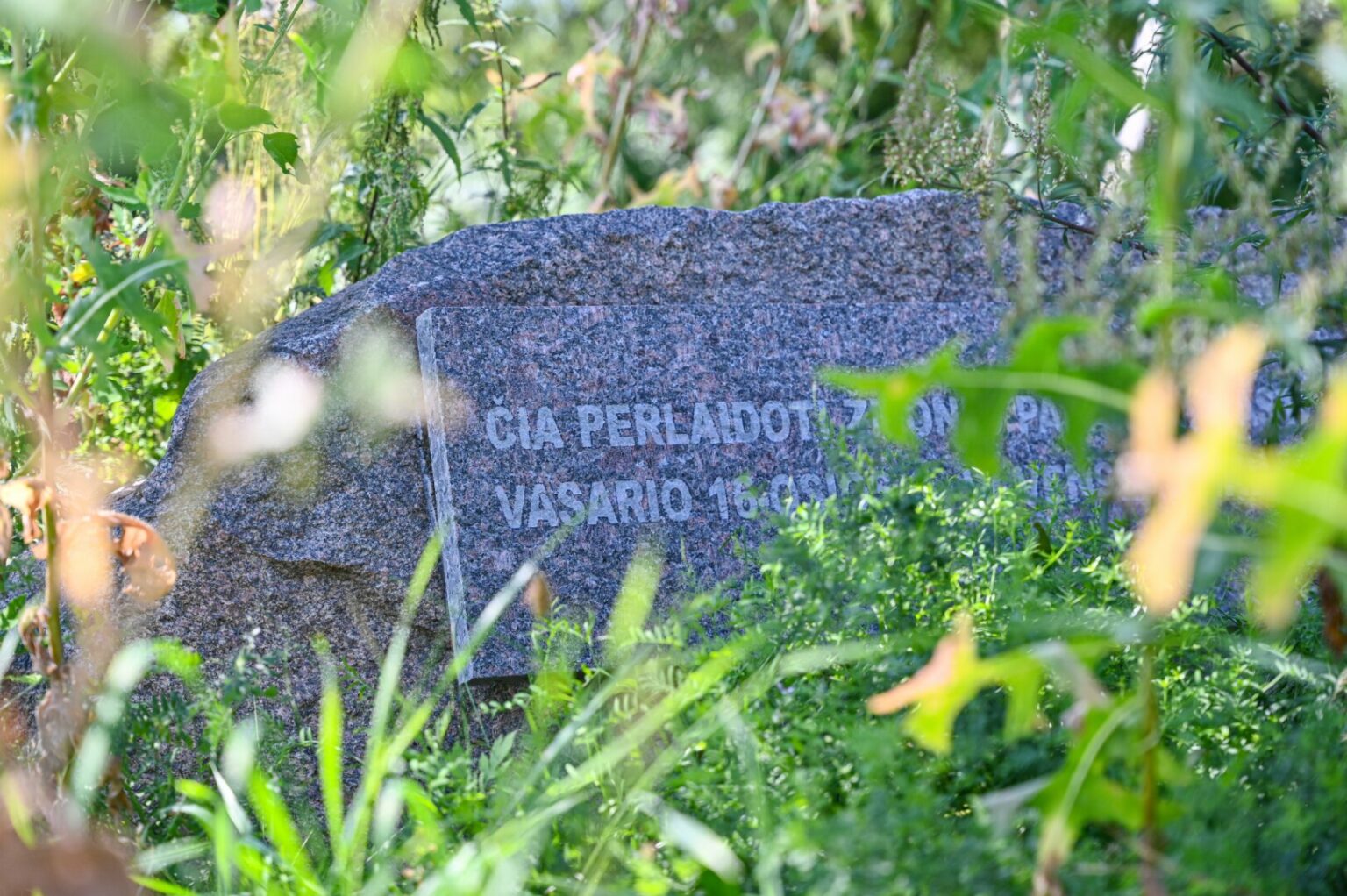 Kaip atsitiko, kad į privataus verslo rankas perėjo ir kapinaitės, kurių niekas nenori prižiūrėti, pradėjo aiškintis paveldosaugininkai. G. KARTANO nuotr.