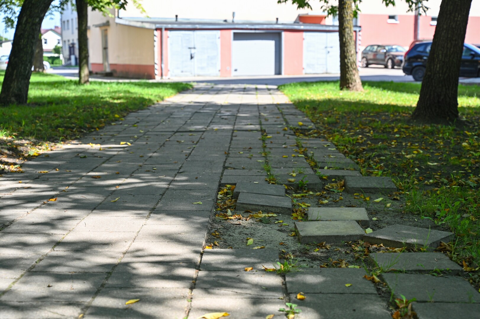 Link Panevėžio butų ūkio vedančiu šaligatviu kasdien eina nemenkas srautas pėsčiųjų, visgi kai kurie, čia jau ne kartą patyrę traumas, verčiau suka ilgesniu, bet saugesniu keliu. G. KARTANO nuotr.