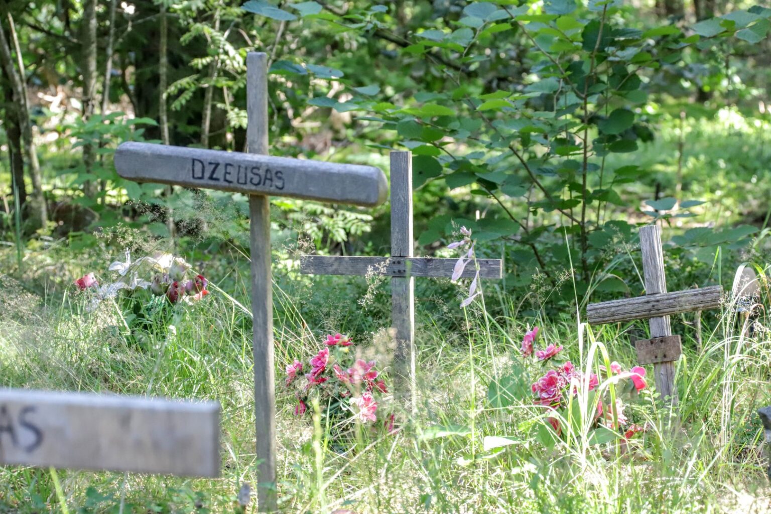 Vakarų pasaulyje seniai įprastą, o Lietuvoje dar tik populiarėjantį kritusių kačių ir šunų laidojimą karstuose ar urnose, paminklų jiems statymą ir kapaviečių puoselėjimą vieni vertina kaip civilizacijos apraišką, kiti laiko žmonijos pasileidimu dėl pernelyg gero gyvenimo.