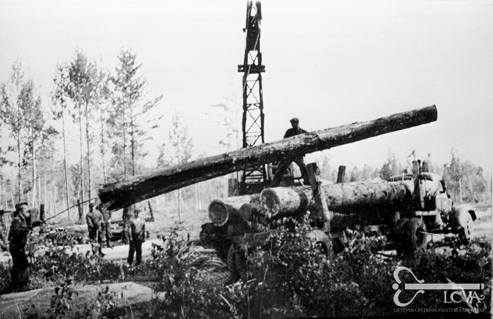 Tremtiniai medienos paruošimo darbuose. Irkutsko sritis, Zimos miestas. 1952 metai. Vilhelmo Janiselio nuotr. (LCVA, 0-117939)
