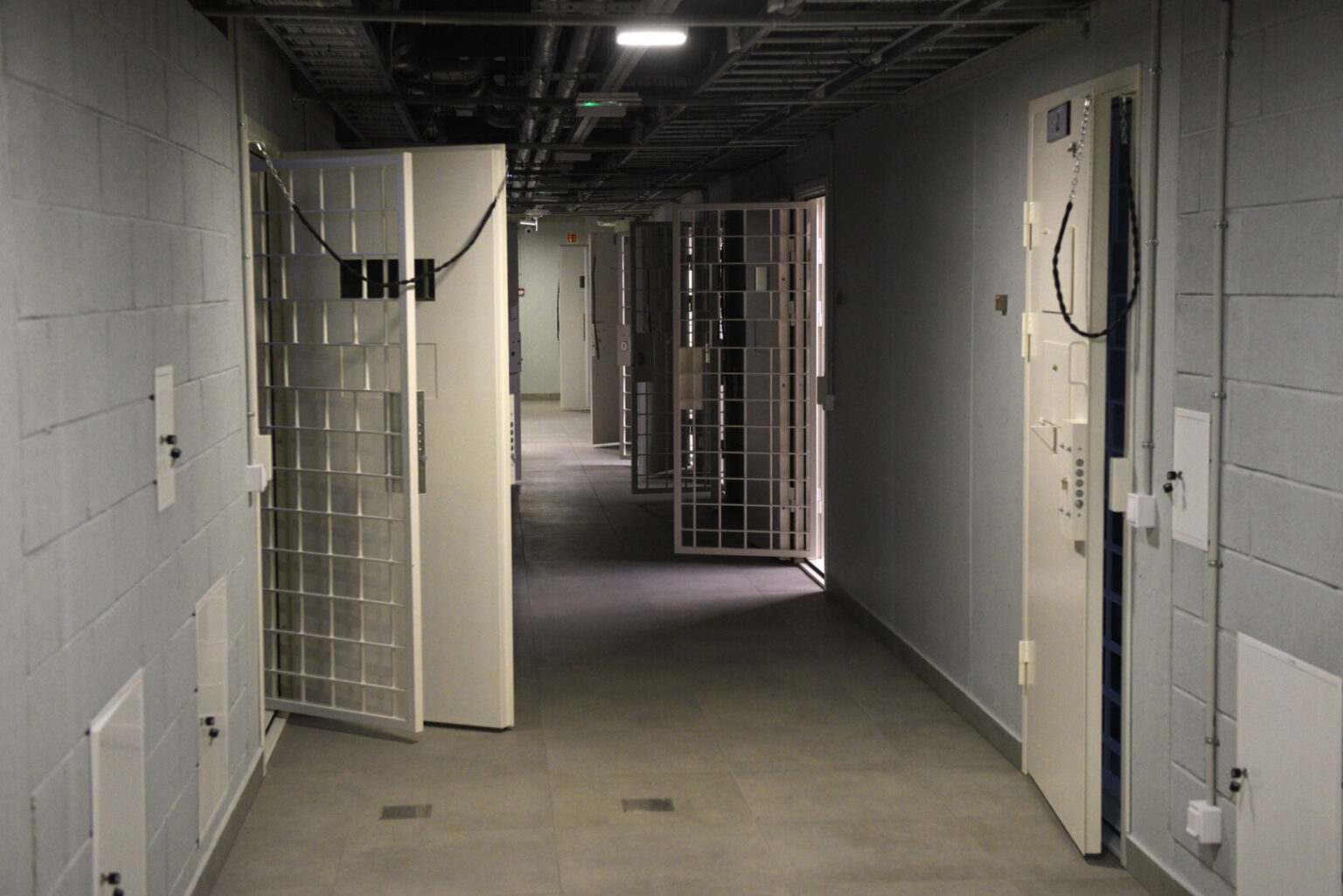 Dėl smurto artimoje aplinkoje sulaikytas vyras sukėlė gaisrą Panevėžio policijos areštinėje.