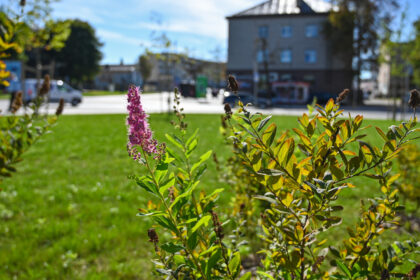 Vasariškas ruduo susuko galvas net pačiai gamtai.