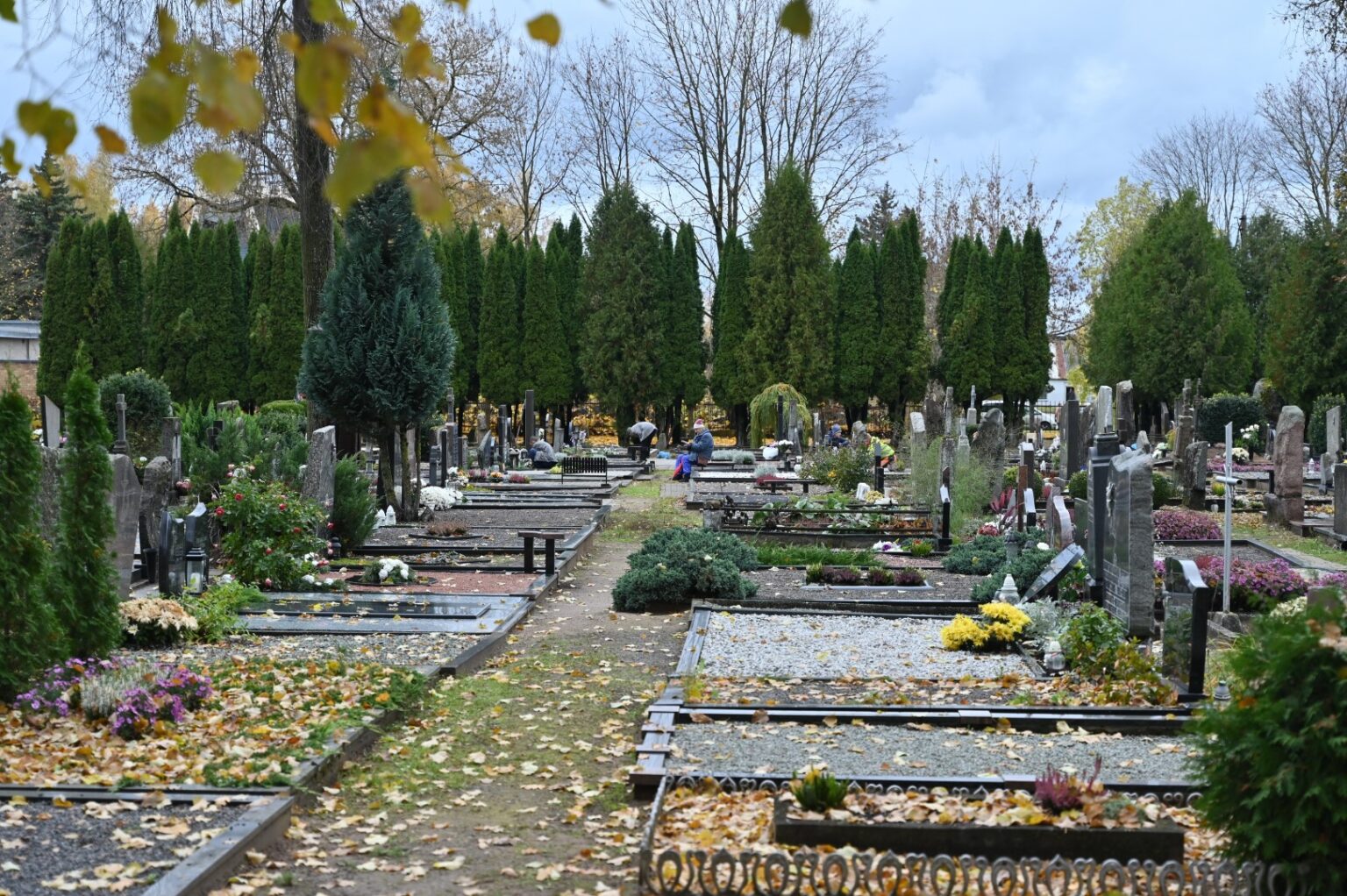 Daugiau kaip šimtmetį skaičiuojančios Panevėžio Kristaus Karaliaus katedros kapinės priglaudė ne vieną miesto šviesuolį, karius savanorius, dvasininkus.