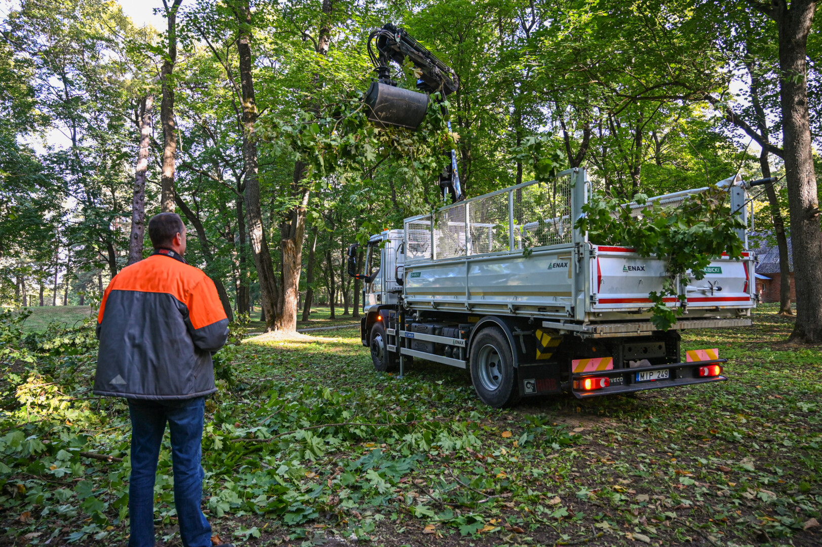 Už europines lėšas tvarkant Skaistakalnio parką pašalinta nemažai nesveikų medžių, tačiau dalis jų buvo palikta. P. ŽIDONIO nuotr.
