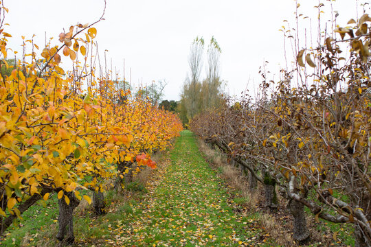 Sodininkams žemės mokestis kito labai nevienodai, tačiau daugiau ar mažiau – visiems. ASOCIATYVI „SEKUNDĖS“ ARCHYVO nuotr.