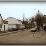 2009 metai. V. R. VITKAUSKO nuotr.