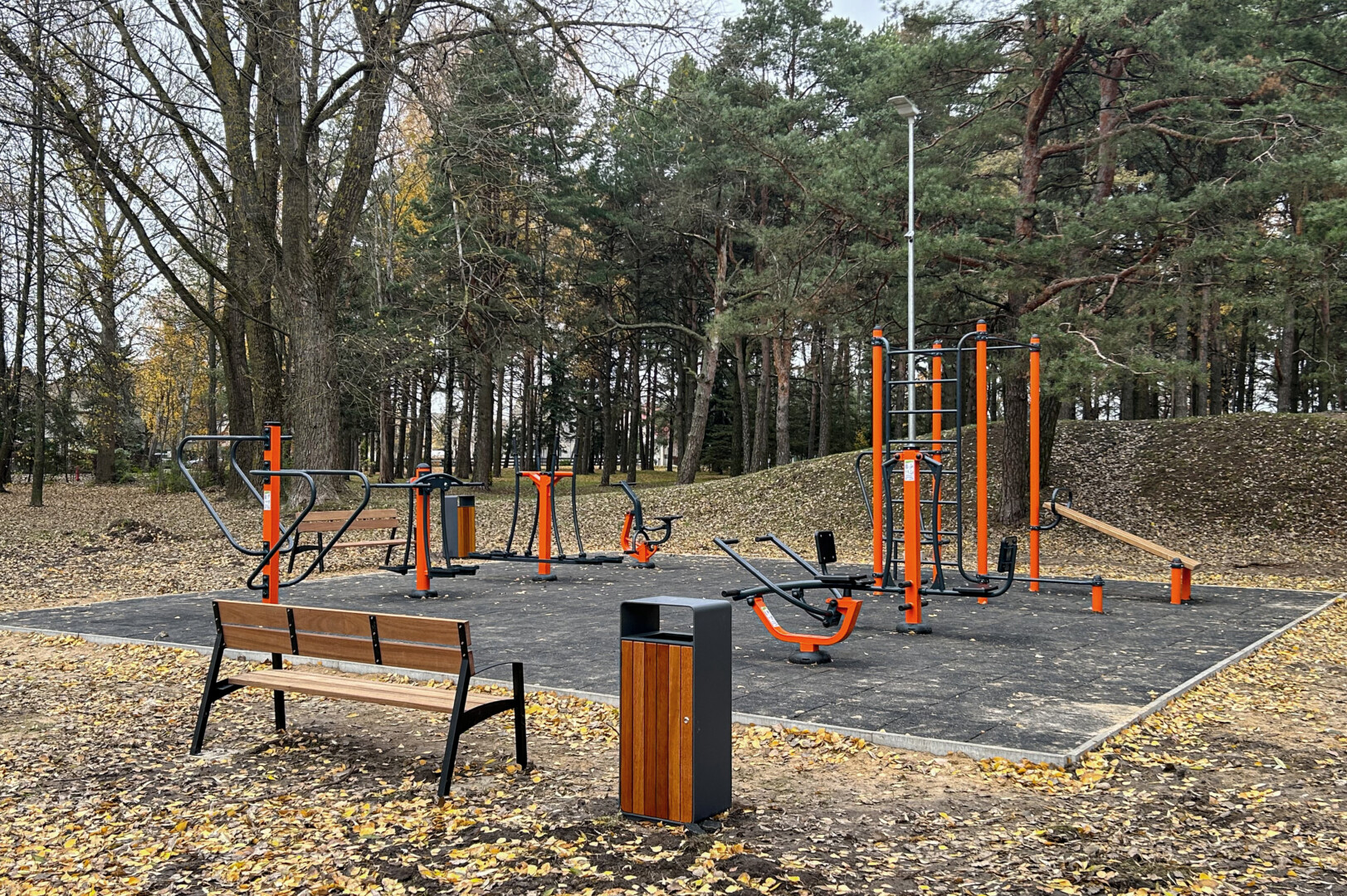 Sveikatingumo ir sporto aikštelė A. Baranausko pušynėlyje. G. Kartano nuotr.