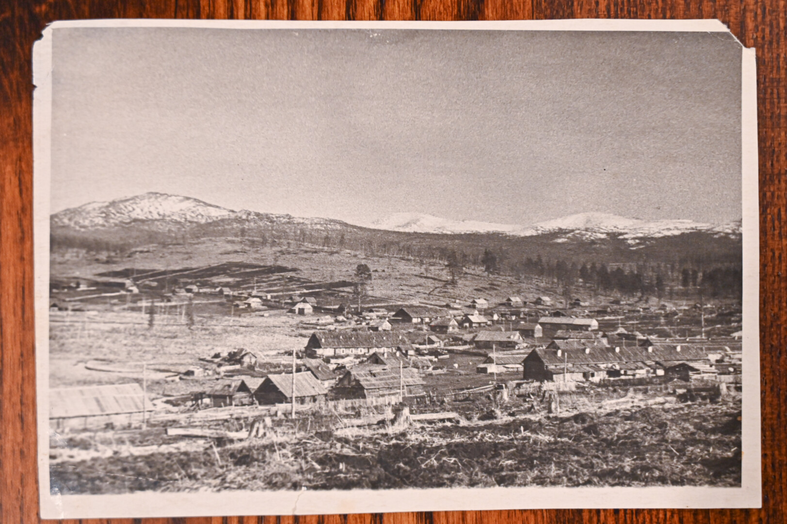 ŠEIMOS ARCHYVO nuotr.