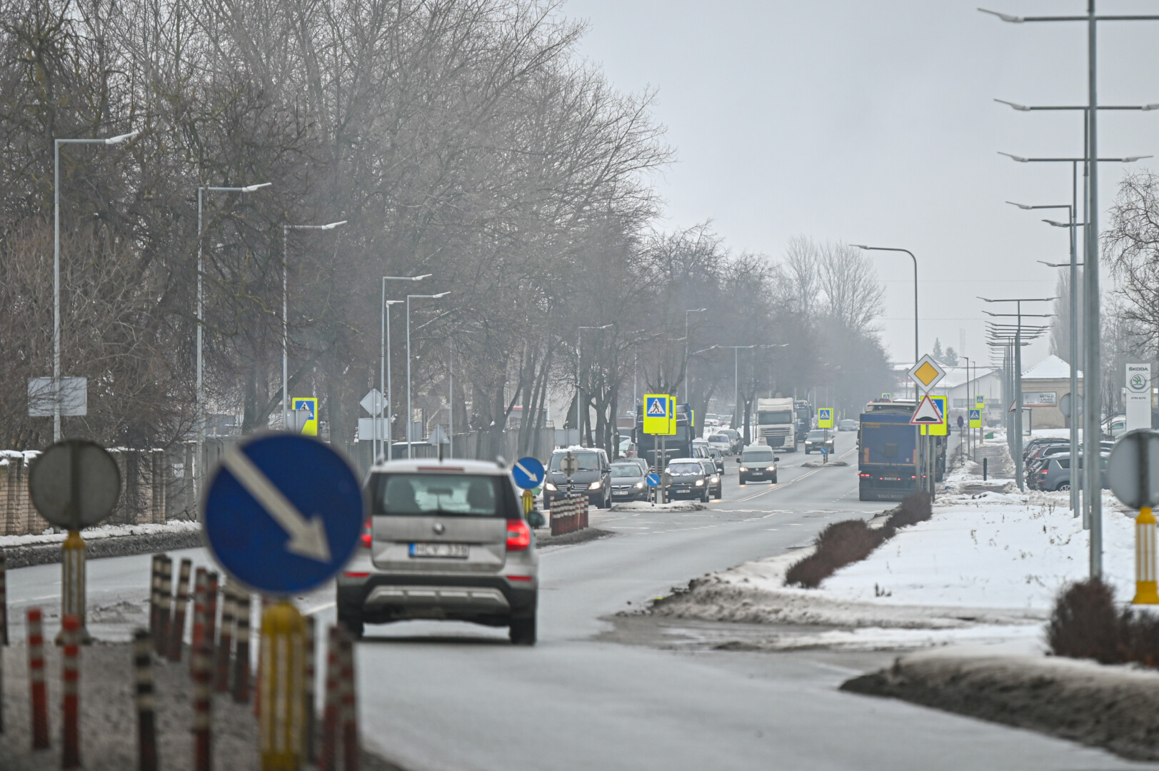 J. Janonio gatvė. P. Židonio nuotr.