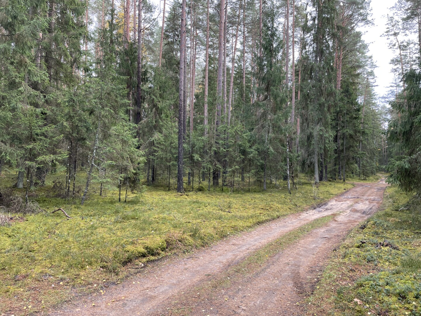 Prieš pat Kalėdas kraupią mįslę užminė netoli Paliūniškio, girioje prie keliuko rasti, kaip manoma, brakonierių išmesti gyvūnų kūnai nudirtais kailiais ir be galvų.