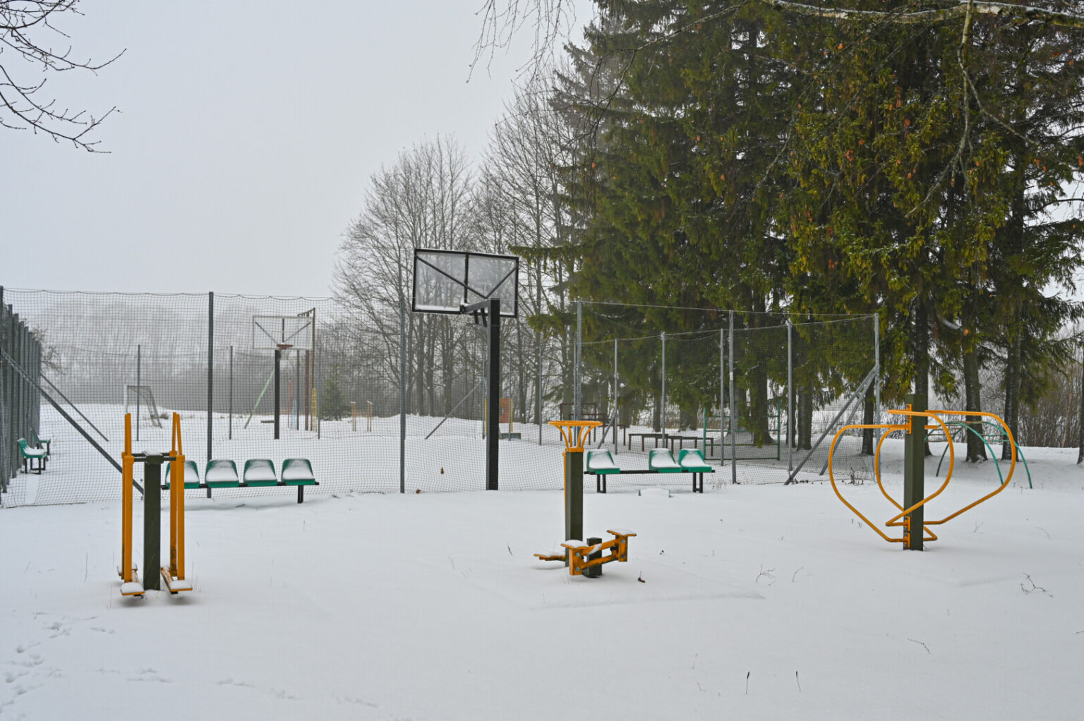 Teismas Panevėžyje sausio pradžioje atvers precedento neturinčią bylą.