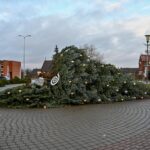 Dėl pirmąją Kalėdų dieną pūtusio stipraus vėjo Naujamiestyje nuvirto eglė.