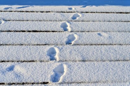 Rajono savivaldybės administracijos Civilinės metrikacijos ir archyvų skyriaus rajono demografinių rodiklių apžvalgoje – įdomioji praėjusių metų statistika.