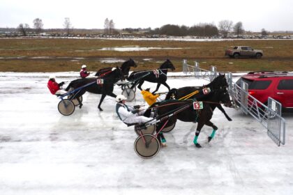 Nepaisant nepalankių oro sąlygų, Dusetose praūžė garsiosios žirgų lenktynės „Sartai 2024“, o jose triumfavo Panevėžio rajono vadeliotojas Alvydas Banėnas.