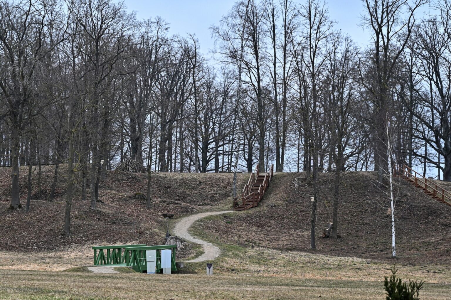 Panevėžio rajone, Čičinsko kalno prieigose sumaniusi statyti paminklą Lietuvos žemdirbiui, rajono Savivaldybė sulaukė keturių menininkų pasiūlymų.