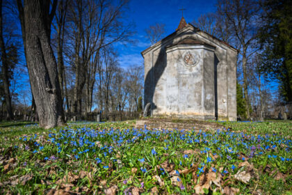 Vakarėjančiame Panevėžyje – ankstyviausių žiedais apsipylusios senosios miesto kapinės.