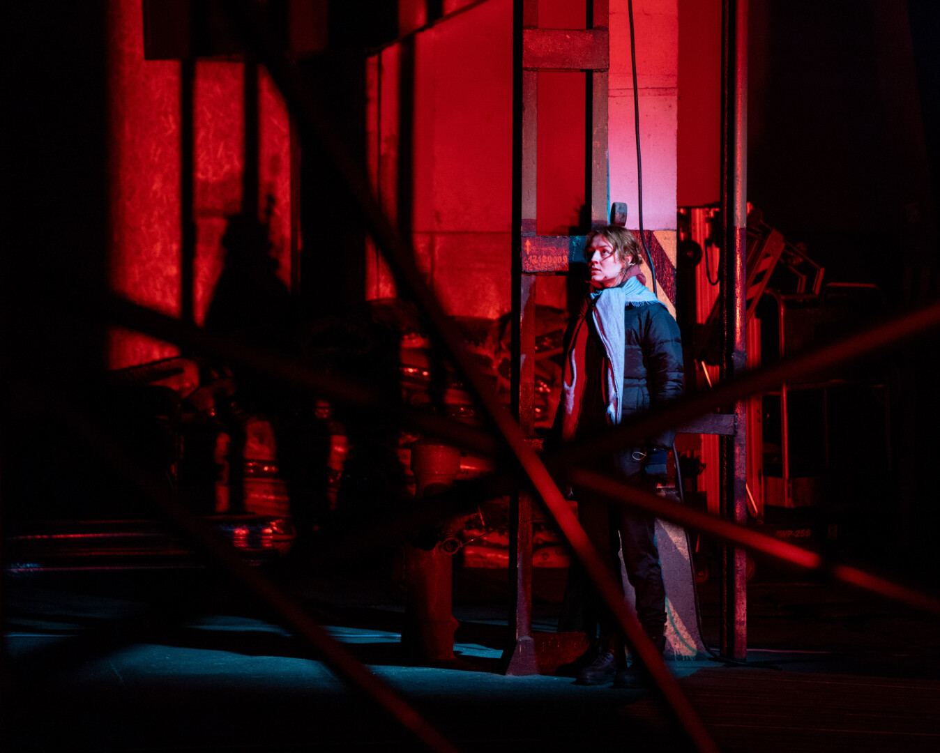 Irena Sikorskytė. Arvydo GUDO nuotr.