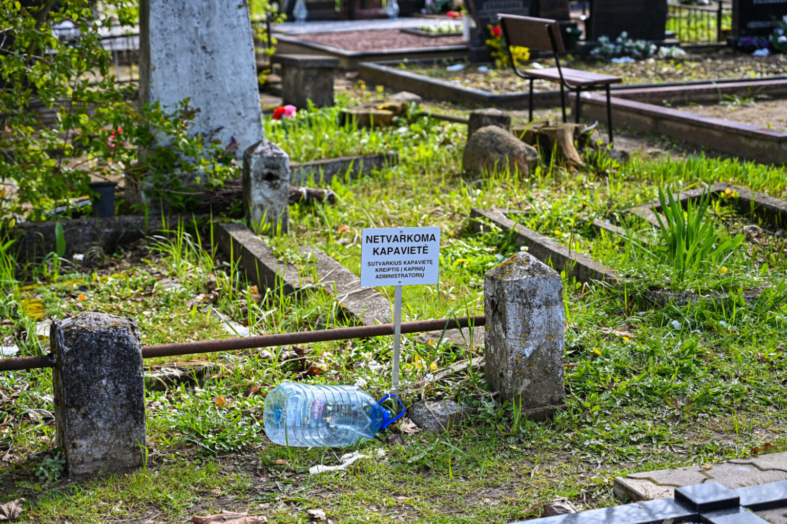 Mirusiųjų artimieji turi geras dvi savaites visose Panevėžio miesto kapinėse išsibarsčiusioms 496 apleistoms kapavietėms sutvarkyti.