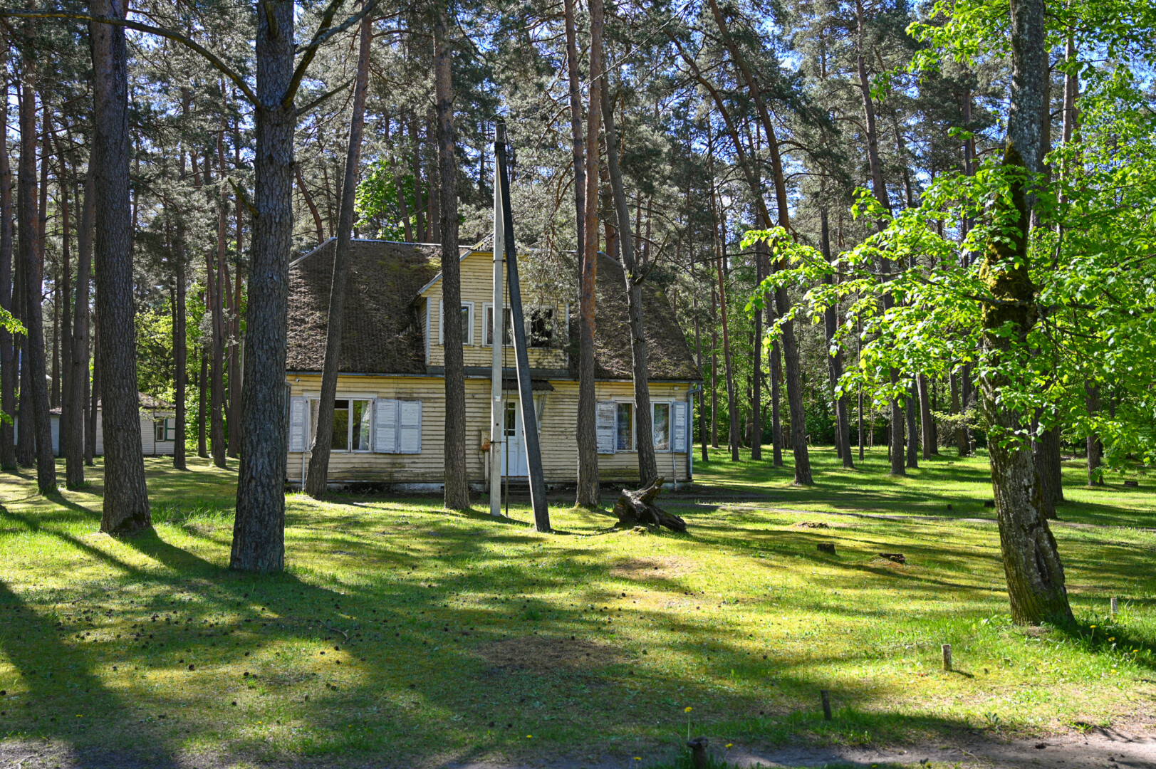 Panevėžio savivaldybė rengiasi dar šią vasarą paskelbti Berčiūnų miško-parko sutvarkymo architektūrinės idėjos konkursą. P. ŽIDONIO nuotr.