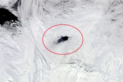 Antarkties ledynas ištisus metus patiria reikšmingų pokyčių. Kai kurios jo anomalijos nebuvo paaiškintos kelis dešimtmečius.