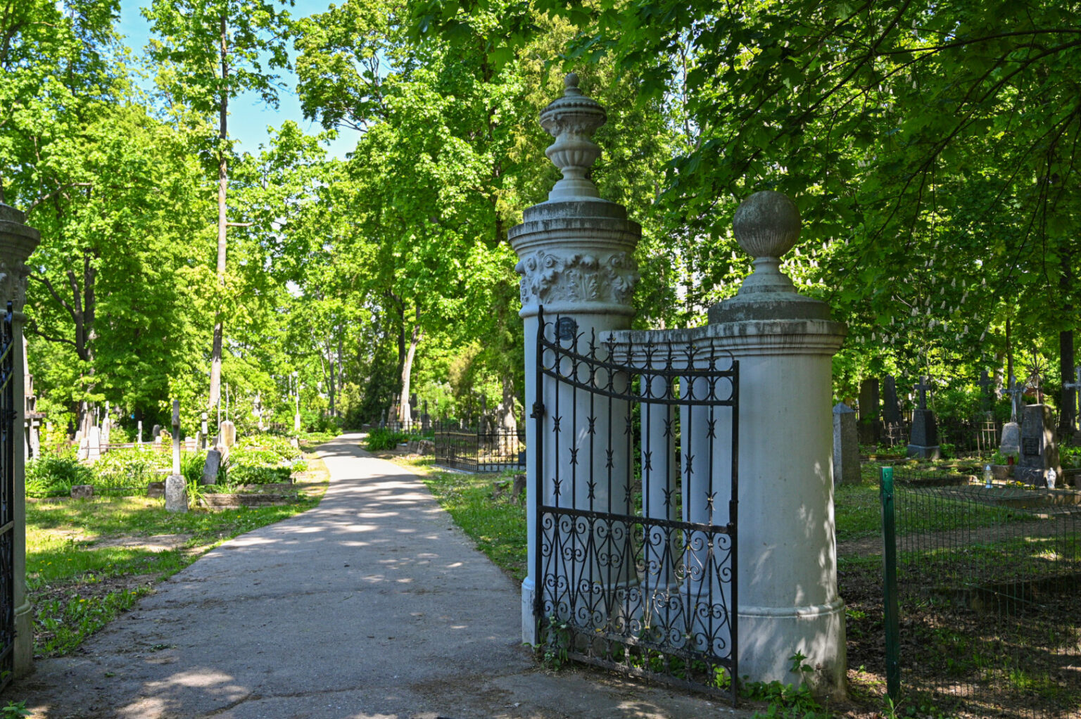 Istorijos liudijimų ir faktų galima ieškoti ne tik muziejų ekspozicijose, leidinių puslapiuose ar senose fotografijose – daug žinių bei peno apmąstymams suteikia ir pasivaikščiojimas po senas kapines, amžinam poilsiui priglaudusias šimtus garbių asmenybių.