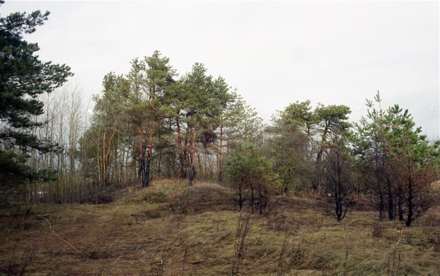 Kultūros paveldo departamentas šiandien numato tikslinti Panevėžio rajone, ant Nevėžio upės kranto stūksančio Papušių piliakalnio duomenis.
