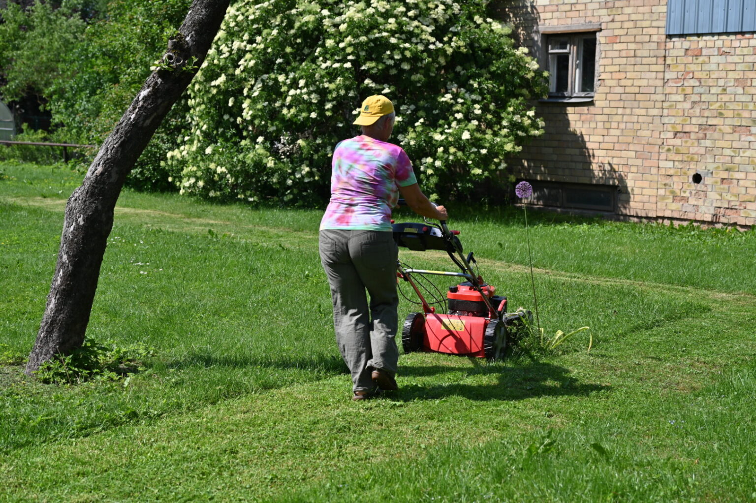„Ieškojau rojaus, patekau į pragaro prieangį“, – situaciją, kurioje jaučiasi atsidūrusi, apibūdina Rožyno gyventoja Ramutė.