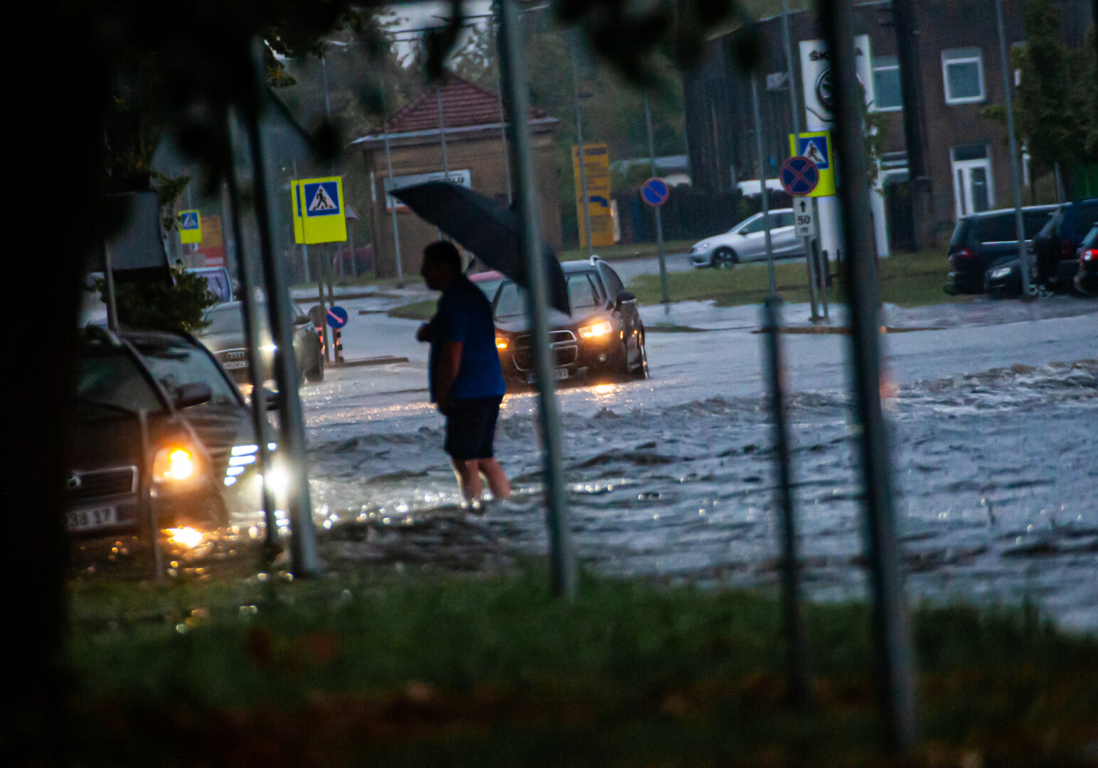 Gedimino VIKSVOS, Manto LELIUKO ir socialinių tinklų nuotraukos