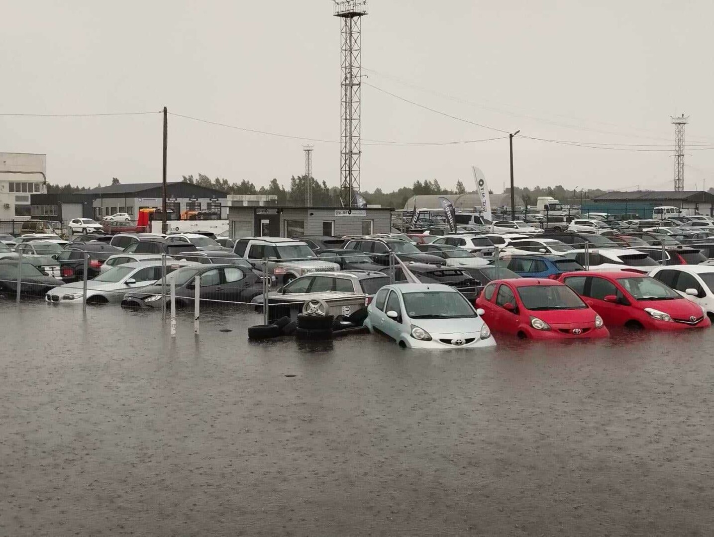 Gedimino VIKSVOS, Manto LELIUKO ir socialinių tinklų nuotraukos