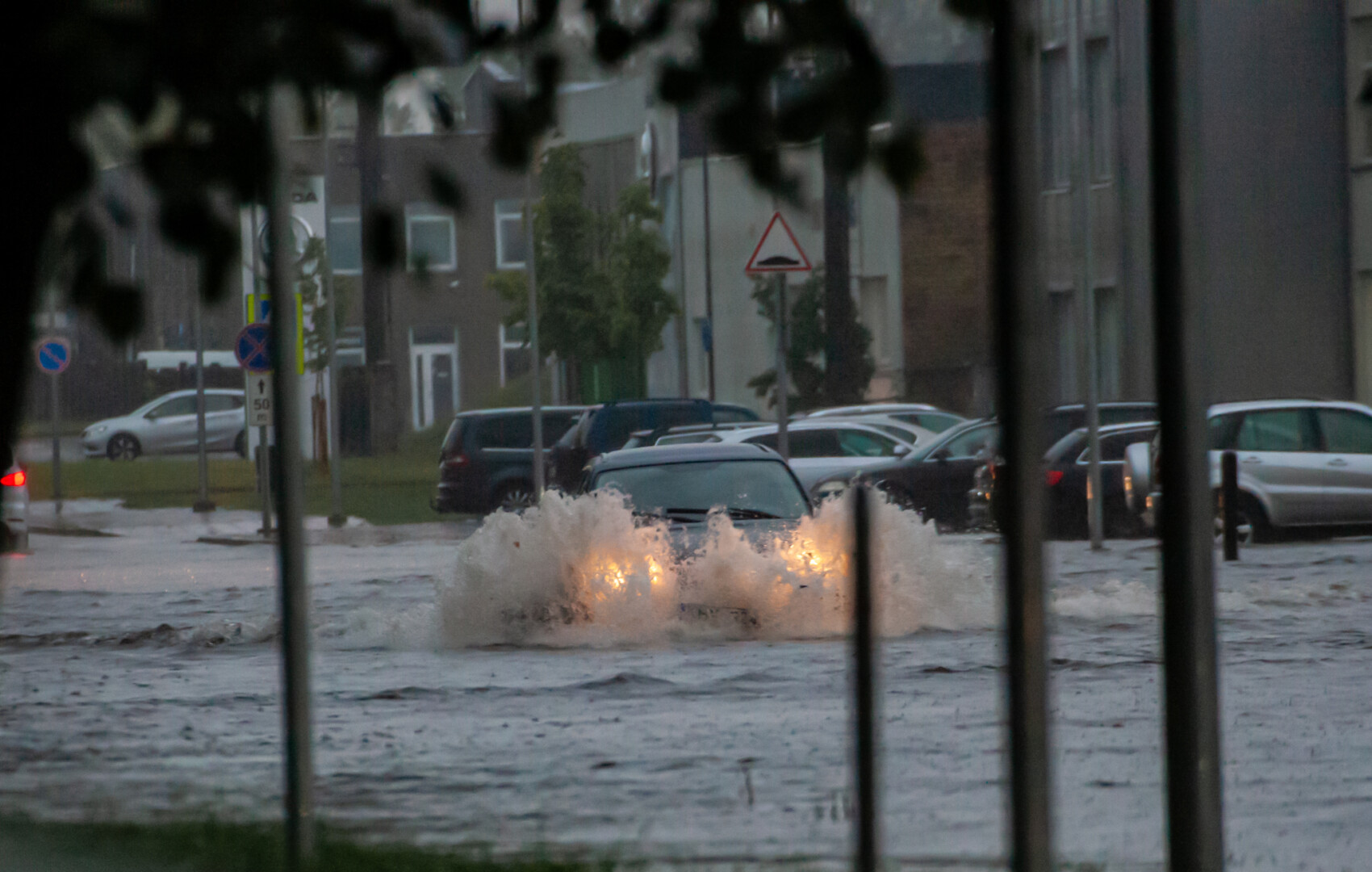 Gedimino VIKSVOS, Manto LELIUKO ir socialinių tinklų nuotraukos