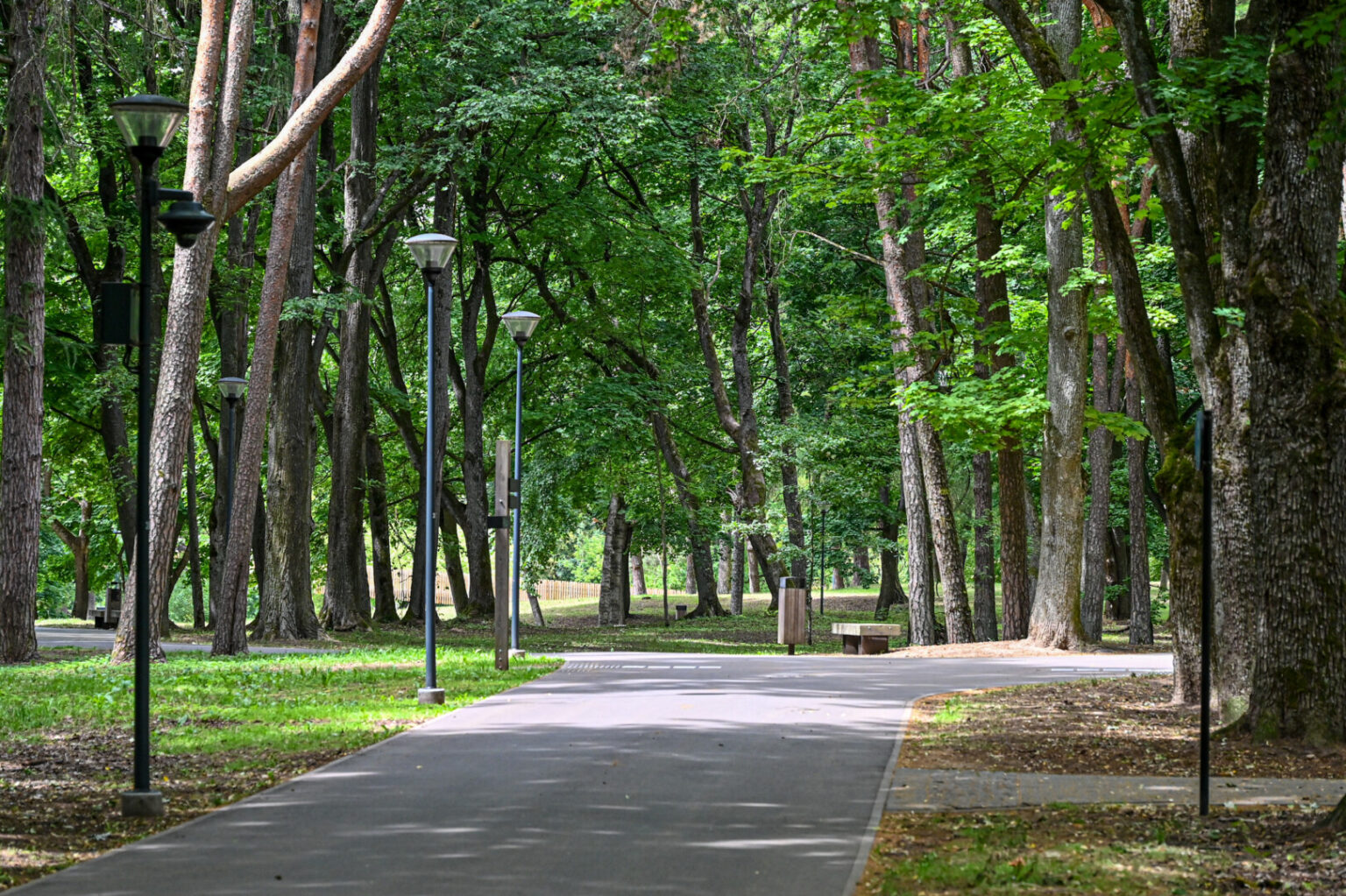 Po Skaistakalnio parką Panevėžyje šeštadienį Adomo kostiumu bėgiojęs ir keistai besielgęs vyras panevėžiečiams priminė laikus, kai čia moteris gąsdindavo nuogi vyriškiai.